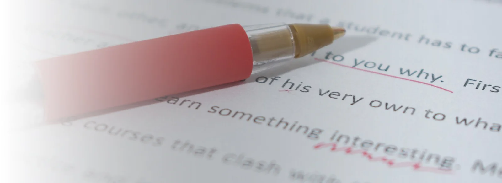 Build Your Career on